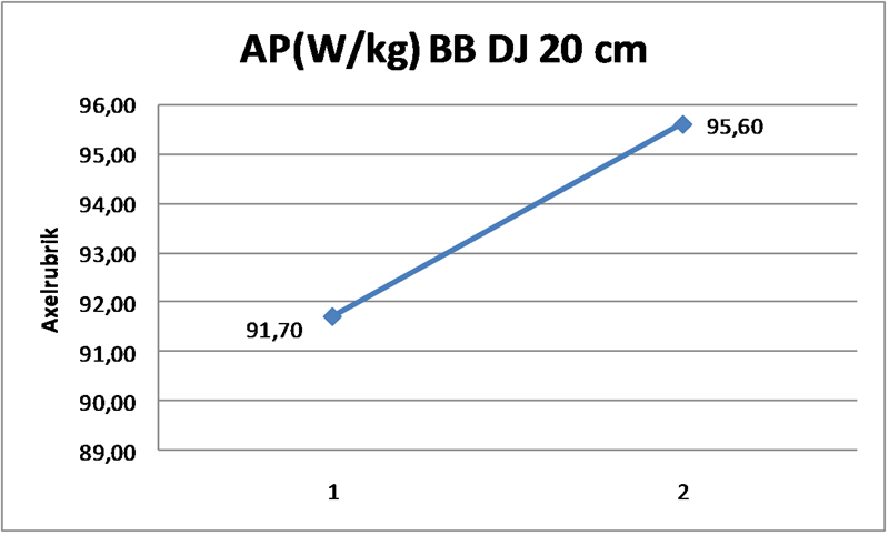 DJ BB 20 cm 3